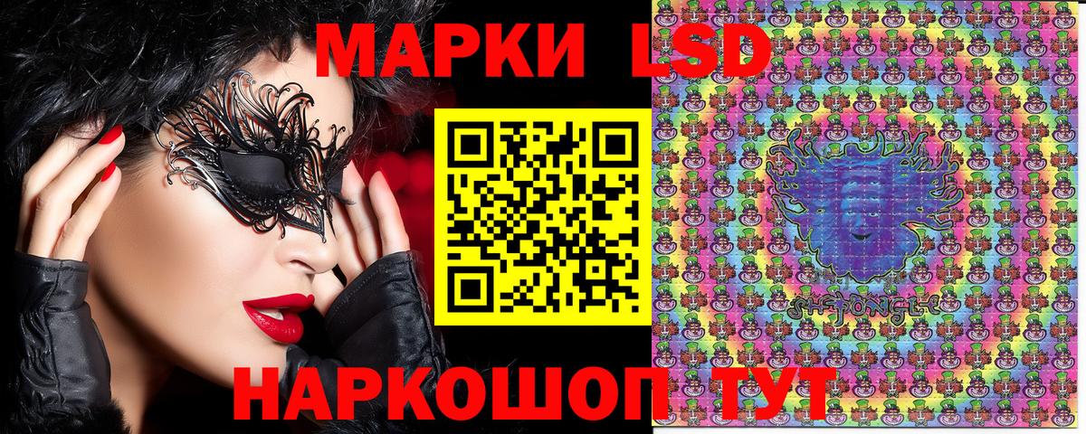 Галлюциногенные грибы Коряжма
