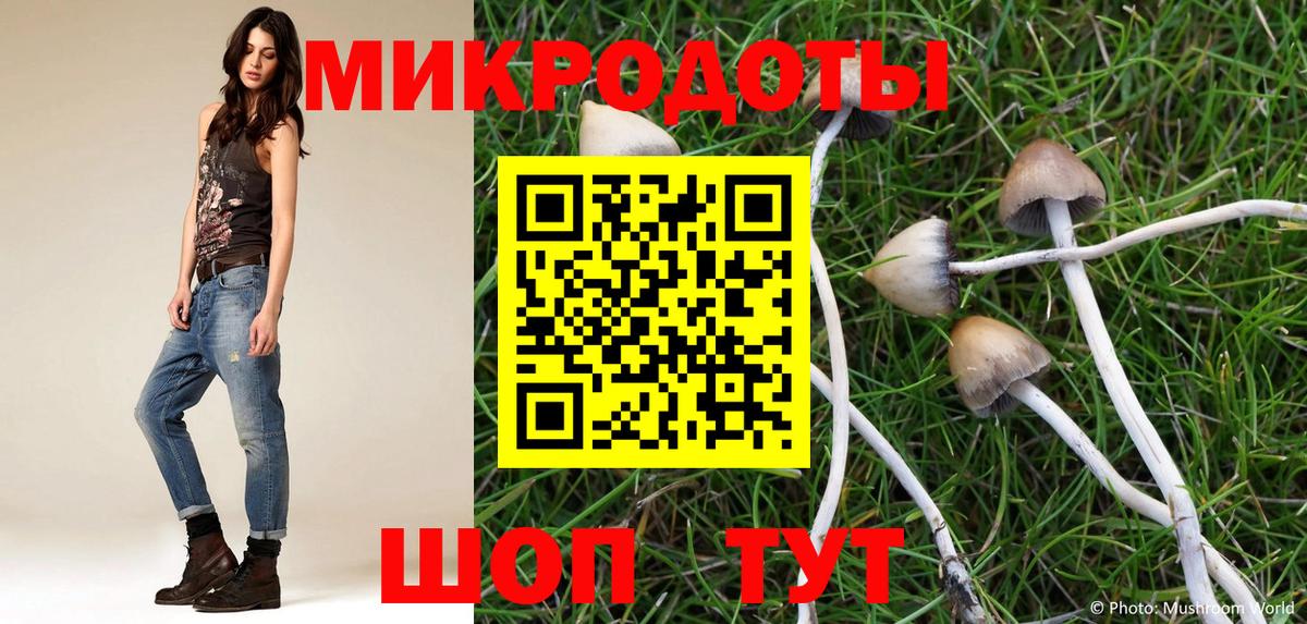 Псилоцибиновые грибы ЛСД  Галлюциногенные грибы мицелий  купить наркоту  Вход с VPN  Коряжма 