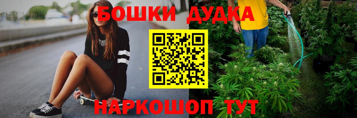 Шишки марихуана марихуана  Канабис семена  Вход с VPN  Коряжма  Бошки марихуана гибрид 